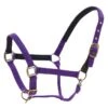 Centaur Super Comfort Halter - Purple -Kensington Shop 304397 800 800