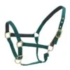 Centaur Super Comfort Halter - Green -Kensington Shop 312736 800 800