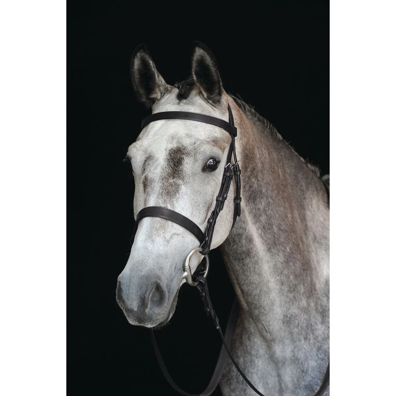 Collegiate Hunt Cavesson Bridle IV - Brown 3 Collegiate Hunt Cavesson Bridle IV - Brown