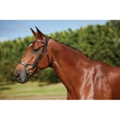 Collegiate Comfitec Training Bridle - Black -Kensington Shop 322013 800 800