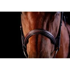 Collegiate Comfort Crown Fancy Stitched Raised Cavesson Bridle - Brown -Kensington Shop 324435 800 800