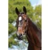 Kincade Plain Raised Bridle - Brown -Kensington Shop 347400 800 800