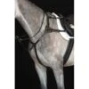Collegiate 5-Point Breastplate IV - Black -Kensington Shop 358361 800 800