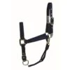 Western Rawhide Signature Classic Halter W/Snap - Navy