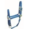 Western Rawhide Signature Classic Halter W/Snap - Hurricane Blue -Kensington Shop 360587 800 800