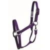 Western Rawhide SignatureFashion Halter W/Black Nickel Finish Hardware - Purple 2 Western Rawhide SignatureFashion Halter W/Black Nickel Finish Hardware - Purple -Kensington Shop 360776 800 800