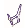 Western Rawhide Country Legend Soft-Touch Halter - Purple