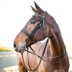 Horze Vienna Weymouth Dressage Bridle - Black 7 Horze Vienna Weymouth Dressage Bridle - Black -Kensington Shop 386465 800 800