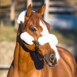 Horze Sheepskin Halter Tube Set - Off White -Kensington Shop 386654 800 800