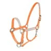 Horze Reflective Halter - Orange -Kensington Shop 386656 800 800