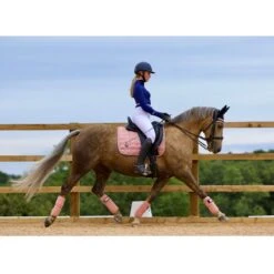Woof Wear Vision Dressage Pad - Rose Gold 5 Woof Wear Vision Dressage Pad - Rose Gold -Kensington Shop 389125 800 800