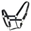 Centaur Cushion Web Breakaway Halter - Black