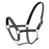 Centaur Argyle Padded Breakaway Halter - Grey