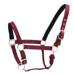 Centaur Cushion Web Breakaway Halter - Burgundy