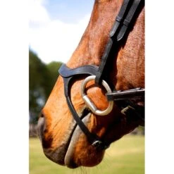 Nunn Finer Innovativo Shaped Bridle - Black -Kensington Shop 399998 800 800