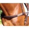 Nunn Finer Jumper Breastplate - Havana/Brass -Kensington Shop 400271 800 800