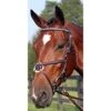 Nunn Finer Figure 8 Clincher Browband Padded Event Bridle - Havana/Zinc