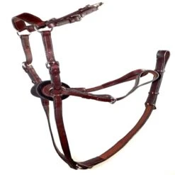 Nunn Finer 5-Way Hunting Breastplate - Havana/Brass -Kensington Shop 402761 800 800