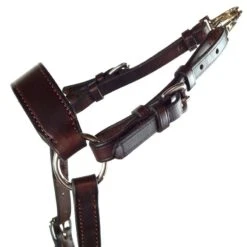 Nunn Finer 5-Way Hunting Breastplate - Havana/Brass -Kensington Shop 402762 800 800