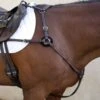 Nunn Finer 5-Way Hunting Breastplate With Elastic - Havana/Zinc 2 Nunn Finer 5-Way Hunting Breastplate With Elastic - Havana/Zinc -Kensington Shop 402811 800 800