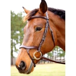 Nunn Finer Innovativo Shaped Bridle - Havana -Kensington Shop 403641 800 800