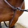 Nunn Finer Bellissimo Hunting Breastplate - Havana/Zinc -Kensington Shop 406937 800 800