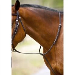 Nunn Finer Standing Martingale - Black/Brass -Kensington Shop 407361 800 800