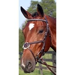 Nunn Finer Figure 8 Clincher Browband Padded Event Bridle - Havana/Brass