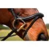 Nunn Finer Aformadii Shaped Bridle - Havana -Kensington Shop 407779 800 800