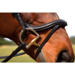 Nunn Finer Aformadii Shaped Bridle - Havana