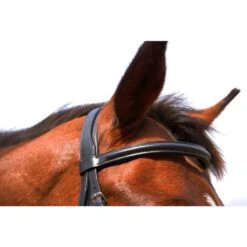 Nunn Finer Aformadii Shaped Bridle - Havana -Kensington Shop 407781 800 800