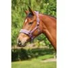 Saxon Fleece Lined Ribbon Headcollar - Purple/Purple -Kensington Shop 410337 800 800