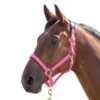 Shires Topaz Leather Breakaway Nylon Halter - Pink