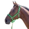 Shires Topaz Leather Breakaway Nylon Halter - Green