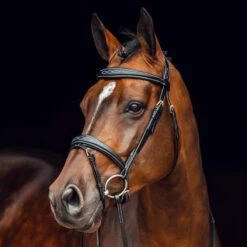 Horze Sion Bridle W/Reins - Black -Kensington Shop 417686 800 800