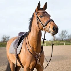 Horze Adjustable Hunting Breastplate - Tan -Kensington Shop 418265 800 800