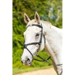 Shires Avignon Woodside Bridle - Havana
