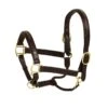 Aramas Fancy Square Raised Padded Halter - Chocolate