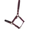 Catago Catago Attitude Halter - Red -Kensington Shop 422184 800 800