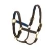 Ovation Richtan Luxury Padded Halter - Brown/Blue -Kensington Shop 422319 800 800