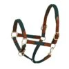 Harmohn Kraft Padded Web/Leather Halter W/Snap - Hunter/Australian Nut -Kensington Shop 423337 800 800