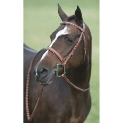Pessoa Rodrigo Fancy Wide Show Bridle - Medium Brown -Kensington Shop 434124 800 800