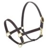 Camelot Stable Halter - Brown