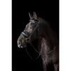 Ovation ATS Traditional Flash Dressage Bridle - Black -Kensington Shop 439968 800 800