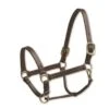 Camelot Triple Stitch Halter - Brown -Kensington Shop 440918 800 800