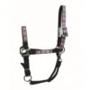 Western Rawhide Signature Pattern Halter W/Snap - Black/Octagon 2 Western Rawhide Signature Pattern Halter W/Snap - Black/Octagon -Kensington Shop 443849 800 800