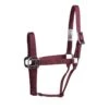 Western Rawhide Signature Halter - Burgundy -Kensington Shop 443855 800 800