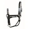 Western Rawhide Signature Pattern Halter W/Snap - Black/Arrow 1 Western Rawhide Signature Pattern Halter W/Snap - Black/Arrow -Kensington Shop 443889 800 800
