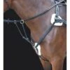 Shires Rossano 5-Point Breastplate - Black