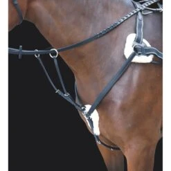 Shires Rossano 5-Point Breastplate - Black